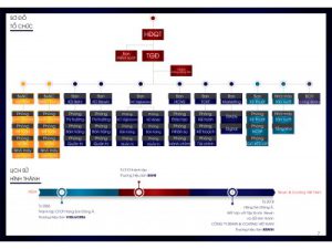 Co cau to chuc 1 400x300 1